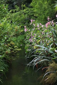 Parc de Claude Monet (11)