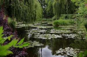 Parc de Claude Monet (19)