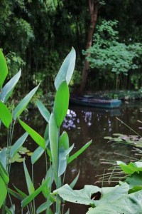 Parc de Claude Monet (20)