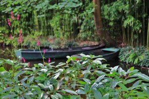 Parc de Claude Monet (21)