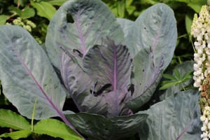 Parc des Moutiers (3)