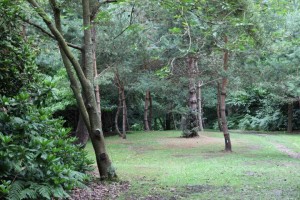 Parc des Moutiers (3)