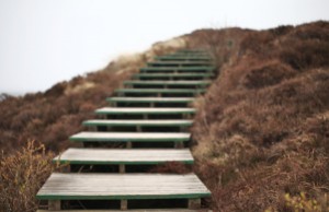 Braderupper-Heide-auf-Sylt