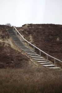 Braderupper-Heide-auf-Sylt-(6)