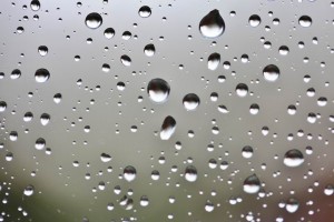 Regentropfen (1)