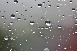 Regentropfen (2)