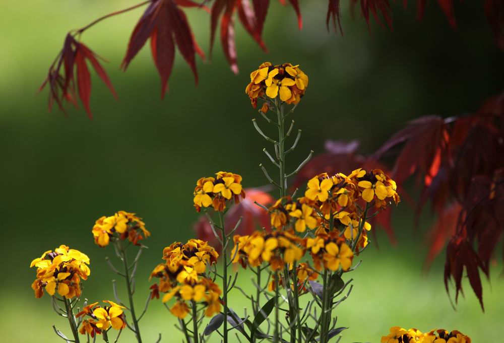 rot, gelb und grün…