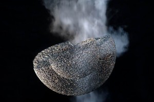 doppelwandige Schale centauri (3)