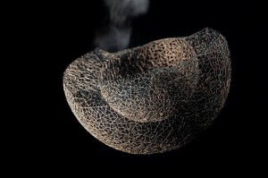 doppelwandige Schale centauri (4)