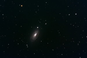 M63