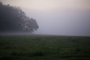 Galgenberg_1.10.15 (2)1200px