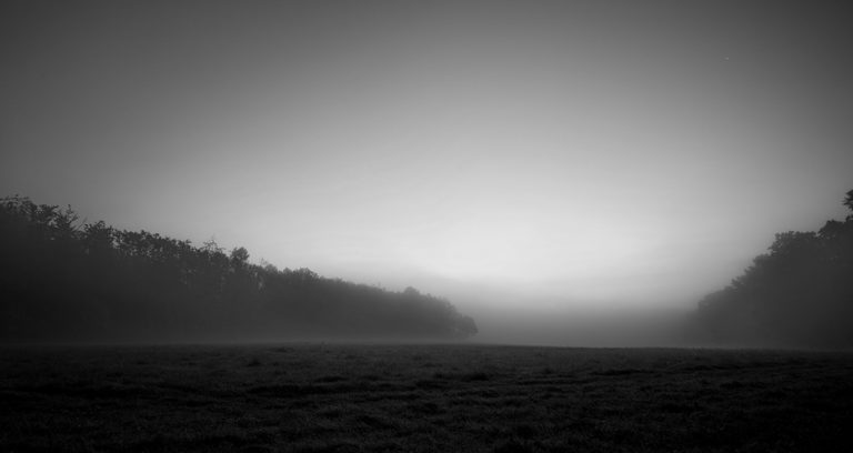Nebel am Galgenberg in Hildesheim